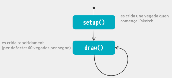 cicle de vide p5.js