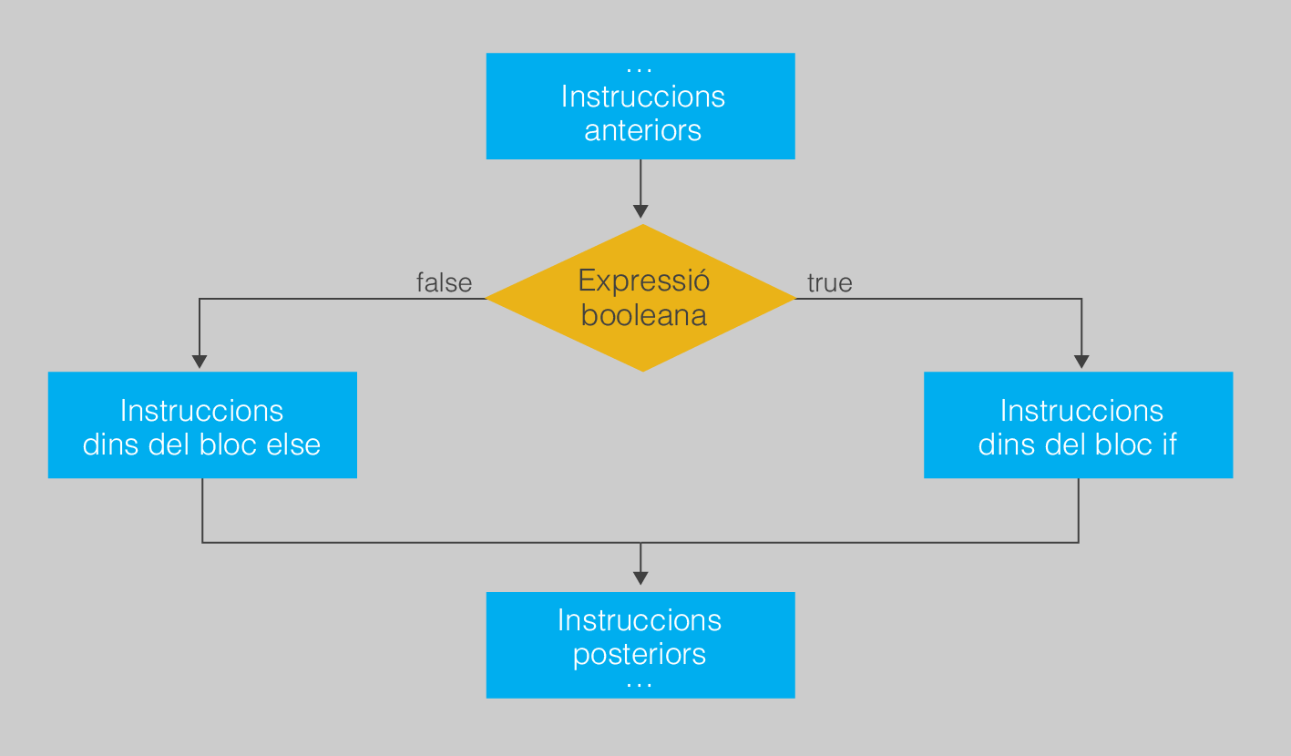 flow diagram If