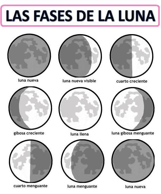 Fases Lunars